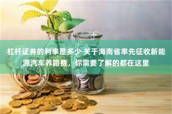 杠杆证券的利率是多少 关于海南省率先征收新能源汽车养路费，你需要了解的都在这里