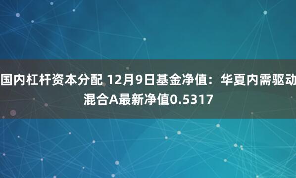 国内杠杆资本分配 12月9日基金净值：华夏内需驱动混合A最新净值0.5317