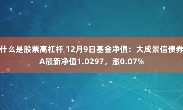 什么是股票高杠杆 12月9日基金净值：大成景信债券A最新净值1.0297，涨0.07%