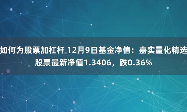 如何为股票加杠杆 12月9日基金净值：嘉实量化精选股票最新净值1.3406，跌0.36%