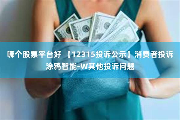 哪个股票平台好 【12315投诉公示】消费者投诉涂鸦智能-W其他投诉问题