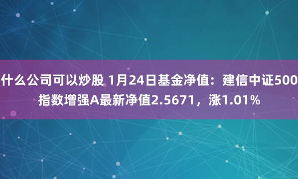 什么公司可以炒股 1月24日基金净值：建信中证500指数增强A最新净值2.5671，涨1.01%