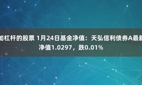 加杠杆的股票 1月24日基金净值：天弘信利债券A最新净值1.0297，跌0.01%