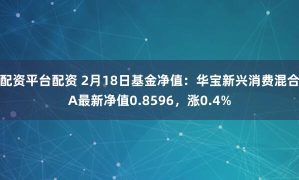 配资平台配资 2月18日基金净值：华宝新兴消费混合A最新净值0.8596，涨0.4%