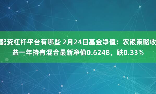 配资杠杆平台有哪些 2月24日基金净值：农银策略收益一年持有混合最新净值0.6248，跌0.33%