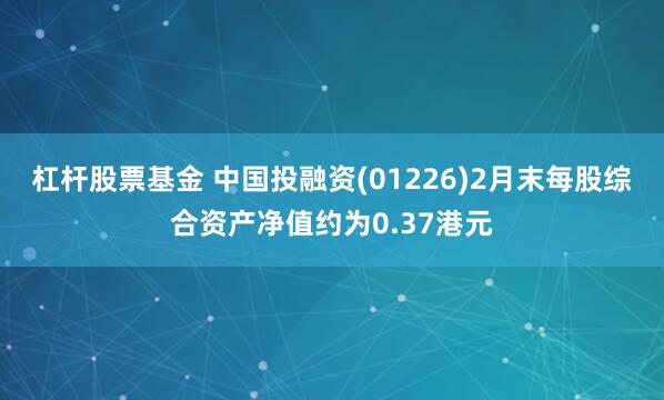 杠杆股票基金 中国投融资(01226)2月末每股综合资产净值约为0.37港元